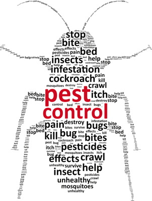 Roach Pest Control